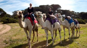 Camel Riding Imhoff Farm