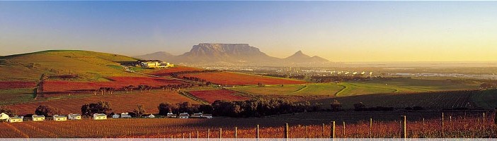 Durbanville Wine Valley